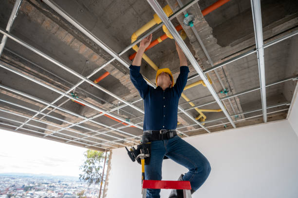 Best Plumbing Repair Near Me  in Calumet City, IL